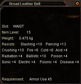 Broad_Leather_Belt