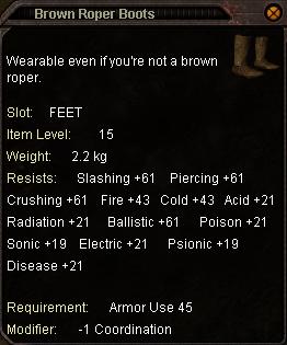 Brown_Roper_Boots