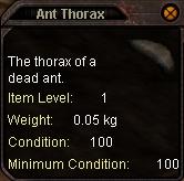 Ant_Thorax
