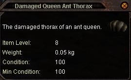 Damaged_Queen_Ant_Thorax