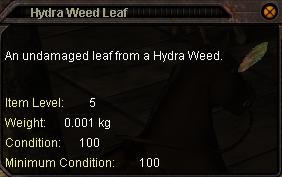 Hydra_Weed_Leaf