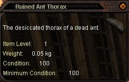 Ruined_Ant_Thorax