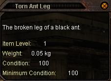 Torn_Ant_Leg