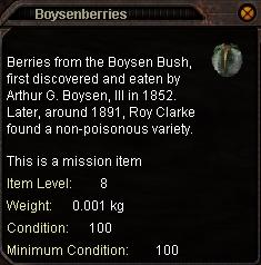 Boysenberries