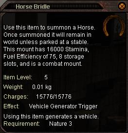 Horse_Bridle
