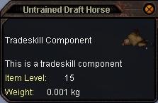 Untrained_Draft_Horse