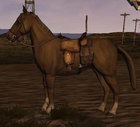 Riding_Horse